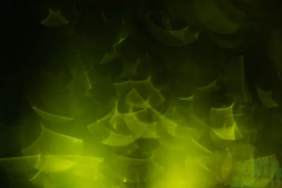 Billion Casino Podrška